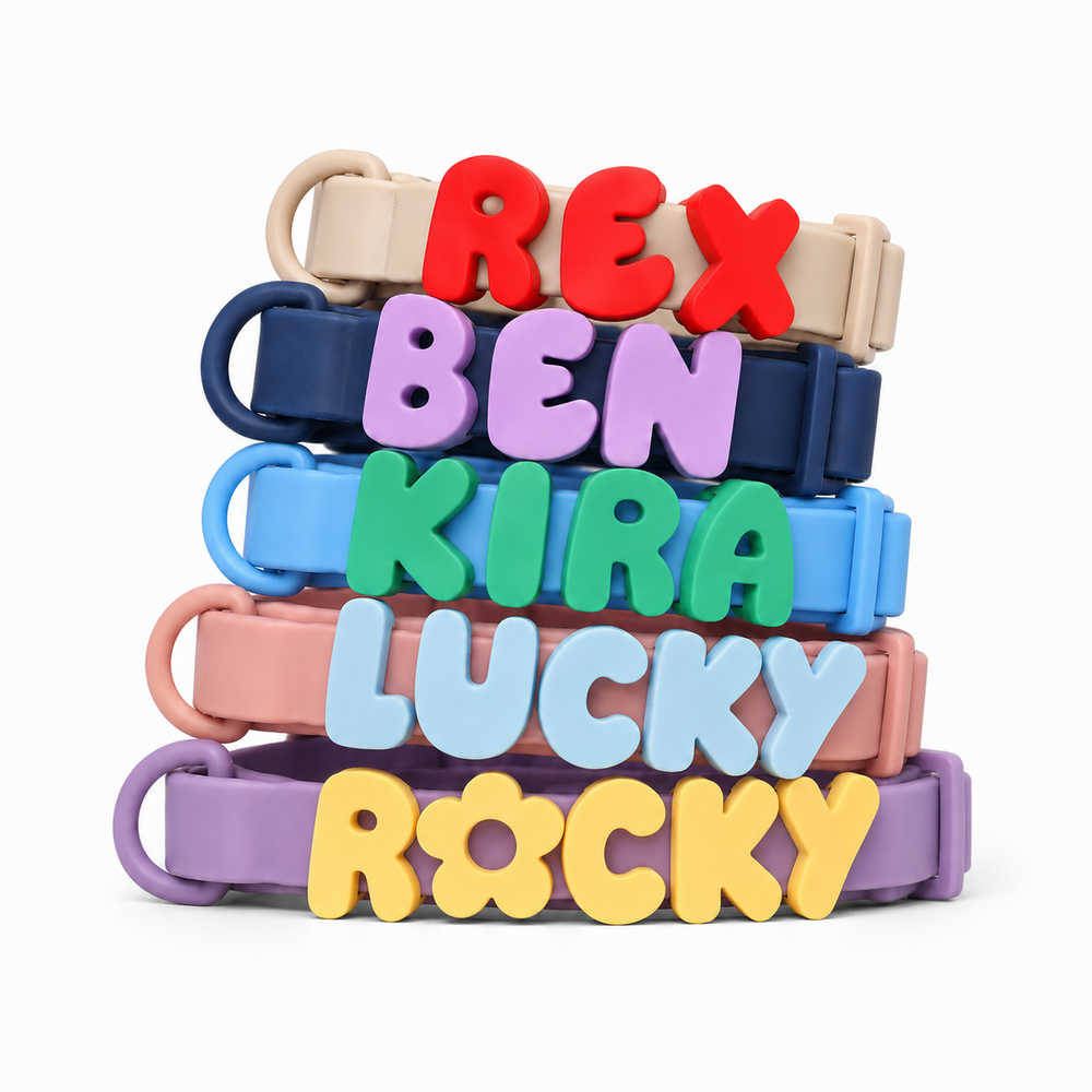 Personalizovaný vodoodolný obojok s menom
